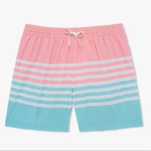 LIKE NEW Chubbies Classic Swim Trunks 5.5” The On The Horizons Men’s Medium